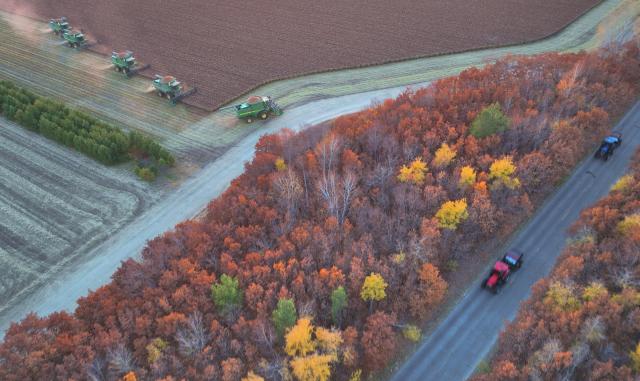 (261010) -- BEIJING, Oct. 10, 2026 (Xinhua) -- An aerial drone photo taken on Oct. 9, 2026 shows harvesters working at a sorghum field of a farm under Beidahuang Group in northeast China's Heilongjiang Province. (Photo by Lin Jinchun/Xinhua)