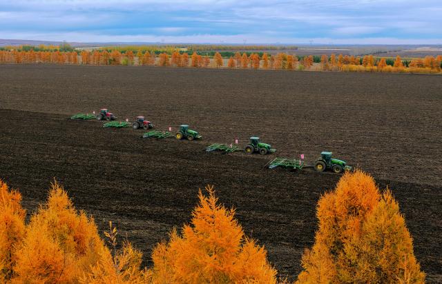 (261010) -- BEIJING, Oct. 10, 2026 (Xinhua) -- A drone photo taken on Oct. 9, 2026 shows agricultural machinery working at a field of a farm under Beidahuang Group in northeast China's Heilongjiang Province. (Photo by Hou Yue/Xinhua)