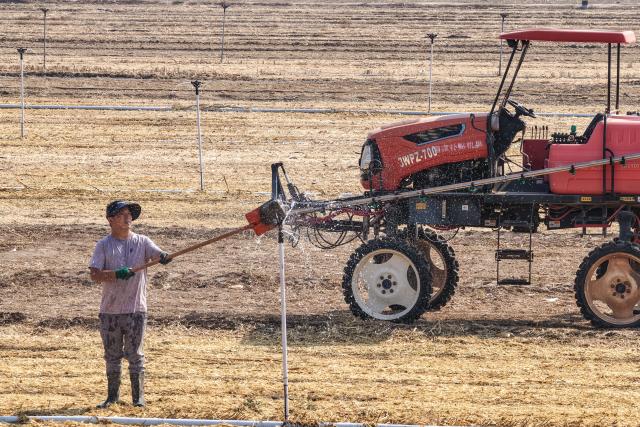 (261010) -- BEIJING, Oct. 10, 2026 (Xinhua) -- A farmer uses a smart sprinkler to water soil ahead of wheat sowing at Chiping District in Liaocheng City, east China's Shandong Province, Oct. 10, 2026. As autumn sets in, farmers across China make the most of the farming season to work to ensure stable grain production. (Photo by Ma Hongkun/Xinhua)