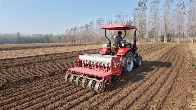 (261010) -- BEIJING, Oct. 10, 2026 (Xinhua) -- A farmer sows wheat with machinery in the fields at Jiazhai Town in Liaocheng City, east China's Shandong Province, Oct. 10, 2026. As autumn sets in, farmers across China make the most of the farming season to work to ensure stable grain production. (Photo by Zhao Yuguo/Xinhua)