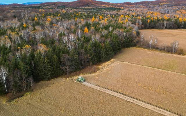 (261010) -- BEIJING, Oct. 10, 2026 (Xinhua) -- An aerial drone photo taken on Oct. 9, 2026 shows farm machinery harvesting soybeans in the fields at Meixi Town in Yichun City, northeast China's Heilongjiang Province. As autumn sets in, farmers across China make the most of the farming season to work to ensure stable grain production. (Photo by Li Jiaxing/Xinhua)
