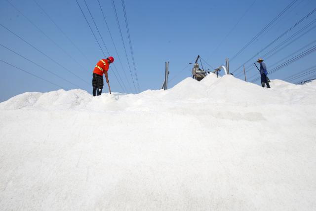 (261011) -- LIANYUNGANG, Oct. 11, 2026 (Xinhua) -- Workers operate in a salt field in Lianyungang City, east China's Jiangsu Province, Oct. 11, 2026. Autumn salt harvest is underway in coastal salt fields in Lianyungang. (Photo by Wang Chun/Xinhua)
