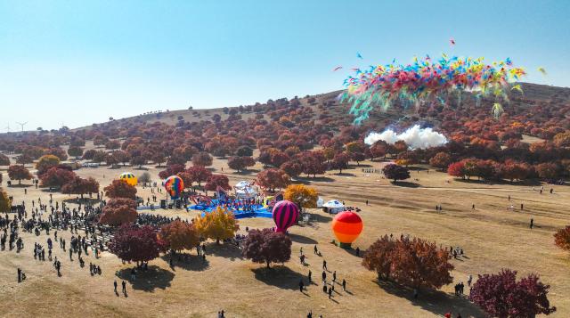 (261011) -- HINGGAN LEAGUE, Oct. 11, 2026 (Xinhua) -- A drone photo taken on Oct. 11, 2026 shows the opening ceremony of a maple-themed cultural tourism season in Horqin Right Wing Middle Banner of Hinggan League, north China's Inner Mongolia Autonomous Region. A maple-themed cultural tourism season kicked off here on Sunday, featuring autumn maple viewing, cultural experiences and leisure activities. (Xinhua/Bei He)