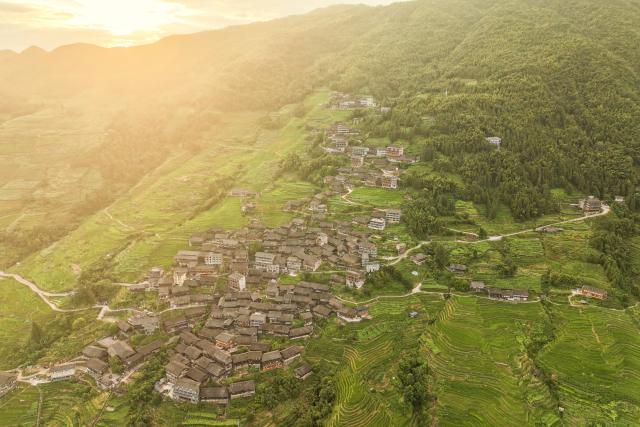 (261011) -- LONGSHENG, Oct. 11, 2026 (Xinhua) -- An aerial drone photo taken on Aug. 15, 2026 shows a view of Longji Village in Longsheng Ge Autonomous County, south China's Guangxi Zhuang Autonomous Region.
  Longji Rice Terraces in Longji Village are a popular destination for visitors seeking to experience traditional Chinese rural life. The village, home mainly to the Zhuang ethnic group, features traditional wooden houses nestled among terraced fields and retains its distinctive ethnic cultural heritage.
  Drawing on its centuries-old rice-farming traditions, the village has integrated cultural heritage with tourism, offering activities such as mountain hiking, village tours, farming experiences and handicraft making. These activities have attracted lots of foreign visitors eager to experience the beauty of the landscape, traditional rice cultivation and ethnic culture in China. (Xinhua/Cao Yiming)
