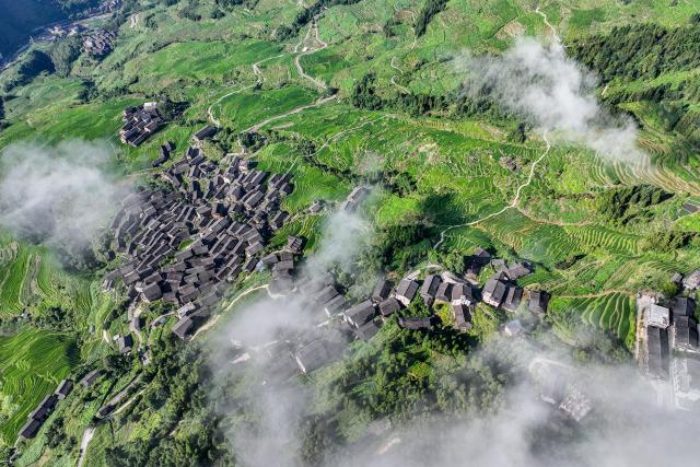 (261011) -- LONGSHENG, Oct. 11, 2026 (Xinhua) -- An aerial drone photo taken on Aug. 16, 2026 shows a view of Longji Village in Longsheng Ge Autonomous County, south China's Guangxi Zhuang Autonomous Region.
  Longji Rice Terraces in Longji Village are a popular destination for visitors seeking to experience traditional Chinese rural life. The village, home mainly to the Zhuang ethnic group, features traditional wooden houses nestled among terraced fields and retains its distinctive ethnic cultural heritage.
  Drawing on its centuries-old rice-farming traditions, the village has integrated cultural heritage with tourism, offering activities such as mountain hiking, village tours, farming experiences and handicraft making. These activities have attracted lots of foreign visitors eager to experience the beauty of the landscape, traditional rice cultivation and ethnic culture in China. (Xinhua/Cao Yiming)