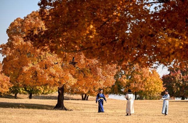 (261011) -- HINGGAN LEAGUE, Oct. 11, 2026 (Xinhua) -- Tourists are seen on the Daiqin Tal grassland in Horqin Right Wing Middle Banner of Hinggan League, north China's Inner Mongolia Autonomous Region, Oct. 11, 2026. (Xinhua/Bei He)