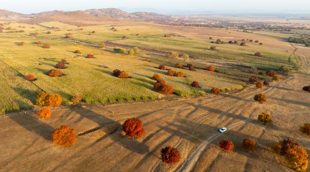 (261011) -- HINGGAN LEAGUE, Oct. 11, 2026 (Xinhua) -- An aerial drone photo taken on Oct. 11, 2026 shows a view of maple trees on Daiqin Tal grassland in Horqin Right Wing Middle Banner of Hinggan League, north China's Inner Mongolia Autonomous Region. (Xinhua/Bei He)