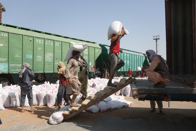 (261011) -- KABUL, Oct. 11, 2026 (Xinhua) -- Workers operate at loading area of Hairatan railway port in Balkh Province, northern Afghanistan, Sept. 17, 2026. TO GO WITH "Feature: Hairatan railway port emerges as trade hub linking Afghanistan to overseas markets" (Photo by Saifurahman Safi/Xinhua)