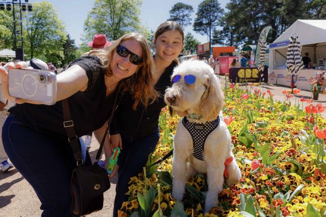 (261012) -- BEIJING, Oct. 12, 2026 (Xinhua) -- People take selfies with a dog at "Dogs' Day Out" event during the Floriade flower festival in Canberra, Australia, on Oct. 11, 2026.
  The Floriade flower festival here held its "Dogs' Day Out" event on Sunday, marking the conclusion of this year's spring welcoming festivity. (Photo by Chu Chen/Xinhua)