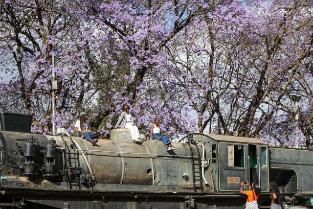 (261012) -- BEIJING, Oct. 12, 2026 (Xinhua) -- People pose for photos on an old locomotive with blooming jacaranda trees in the background in Nairobi, Kenya, Oct. 10, 2026. (Xinhua/Liu Jiaqi)