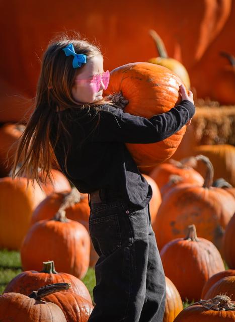 (261012) -- RICHMOND, Oct. 12, 2026 (Xinhua) -- A girl holds a pumpkin at a farm in Richmond, British Columbia, Canada, Oct. 11, 2026. Visiting pumpkin patches is a popular autumn activity in Canada, attracting families to local farms to enjoy the harvest season. (Photo by Liang Sen/Xinhua)