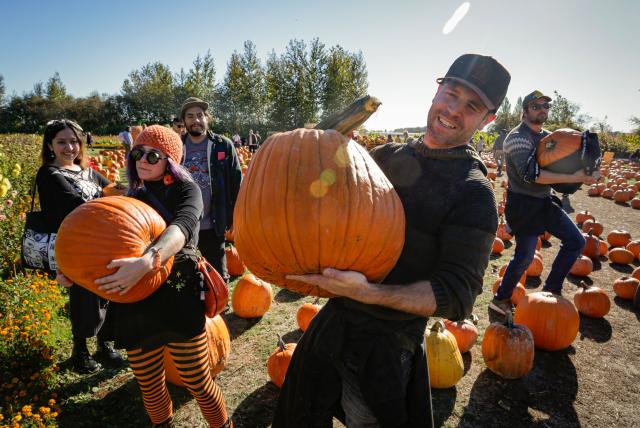 (261012) -- RICHMOND, Oct. 12, 2026 (Xinhua) -- People hold the pumpkins they selected at a farm in Richmond, British Columbia, Canada, Oct. 11, 2026. Visiting pumpkin patches is a popular autumn activity in Canada, attracting families to local farms to enjoy the harvest season. (Photo by Liang Sen/Xinhua)