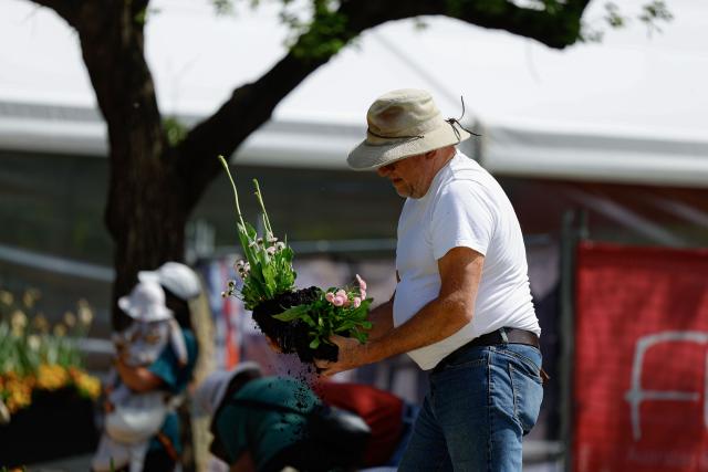 (261012) -- CANBERRA, Oct. 12, 2026 (Xinhua) -- A man digs up flower bulbs during the Great Big Bulb Dig event at Commonwealth Park in Canberra, Australia, on Oct. 12, 2026. The Great Big Bulb Dig, held annually following the end of the Floriade flower festival, attracted a large number of visitors to dig up and take home flower bulbs and annuals from the festival's display beds. (Photo by Chu Chen/Xinhua)