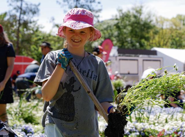 (261012) -- CANBERRA, Oct. 12, 2026 (Xinhua) -- A girl digs up flower bulbs during the Great Big Bulb Dig event at Commonwealth Park in Canberra, Australia, on Oct. 12, 2026. The Great Big Bulb Dig, held annually following the end of the Floriade flower festival, attracted a large number of visitors to dig up and take home flower bulbs and annuals from the festival's display beds. (Photo by Chu Chen/Xinhua)