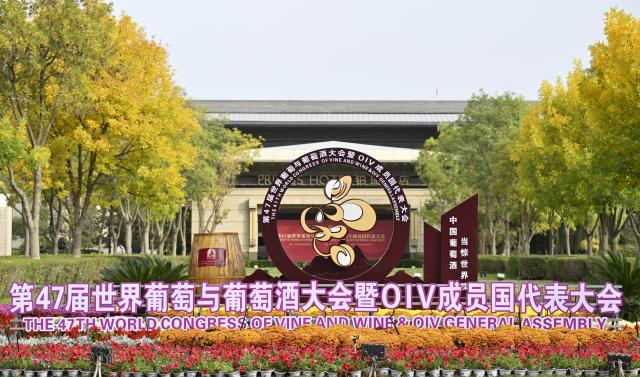 (261012) -- YINCHUAN, Oct. 12, 2026 (Xinhua) -- This photo taken on Oct. 12, 2026 shows an exterior view of the venue of the opening ceremony of the 47th World Congress of Vine and Wine in Yinchuan, northwest China's Ningxia Hui Autonomous Region. The 47th World Congress of Vine and Wine opened on Monday in Yinchuan, capital of northwest China's Ningxia Hui Autonomous Region, China's top wine-producing area.
  This is the first time the congress, held alongside the 24th General Assembly of the International Organization of Vine and Wine (OIV), has been hosted in Asia since its launch in 1924.
  The event has drawn more than 800 participants, including delegates from 51 OIV member states, diplomatic envoys to China from 25 countries, representatives from 47 countries and international organizations, leading experts and scholars in the wine sector from at home and abroad, as well as heads of domestic business associations and leading enterprises. (Xinhua/Wang Peng)