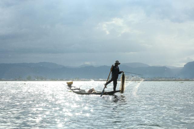 (261013) -- NYAUNGSHWE, Oct. 13, 2026 (Xinhua) -- A fisherman catches fish on Inle Lake in Nyaungshwe township in Shan state, Myanmar, Oct. 12, 2026. (Xinhua/Myo Kyaw Soe)