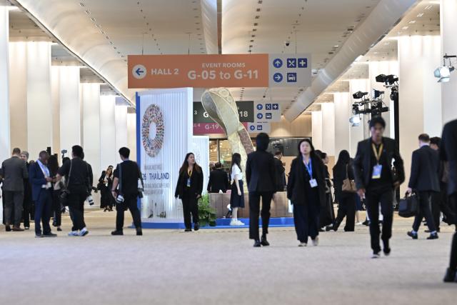 (261013) -- BANGKOK, Oct. 13, 2026 (Xinhua) -- Participants attend the annual meetings of the International Monetary Fund (IMF) and World Bank Group in Bangkok, Thailand on Oct. 12, 2026. IMF on Tuesday nudged its 2026 global growth forecast to 3.1 percent, up 0.1 percentage point from its July projection, as economies lifted by the artificial intelligence (AI) investment boom offset those hurt by the Middle East conflict. (Xinhua/Rachen Sageamsak)