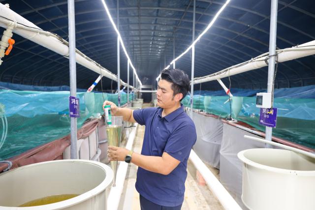 (261014) -- CHONGQING, Oct. 14, 2026 (Xinhua) -- A staff member tests water salinity and temperature at a shrimp breeding farm in Jianjiao Village of Tieshan Town in Dazu District, southwest China's Chongqing, Oct. 13, 2026.
  In recent years, Tieshan Town is committed to developing land-based aquaculture for seafood produces. Thanks to advanced farming methods and technologies, the South American white-legged shrimps are successfully bred here, enabling local residents to boost their income. (Xinhua/Huang Wei)