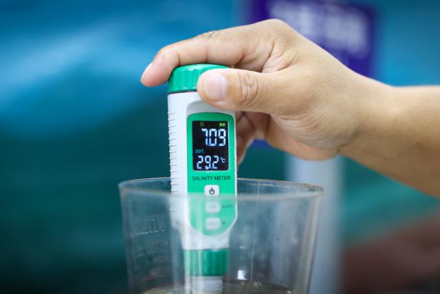 (261014) -- CHONGQING, Oct. 14, 2026 (Xinhua) -- A staff member tests water salinity and temperature at a shrimp breeding farm in Jianjiao Village of Tieshan Town in Dazu District, southwest China's Chongqing, Oct. 13, 2026.
  In recent years, Tieshan Town is committed to developing land-based aquaculture for seafood produces. Thanks to advanced farming methods and technologies, the South American white-legged shrimps are successfully bred here, enabling local residents to boost their income. (Xinhua/Huang Wei)