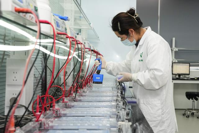 (261014) -- HEFEI, Oct. 14, 2026 (Xinhua) -- A staff member works at a gene-editing laboratory at Anhui Jianghuai Horticulture Seeds Co., Ltd. in Changfeng County of Hefei, east China's Anhui Province, Oct. 13, 2026.
  Changfeng County has been making efforts to foster its leading seed enterprises by giving policy and financial support. It has also established a platform to promote forming an integrated industrial chain including breeding, propagation and marketing. (Xinhua/Du Yu)