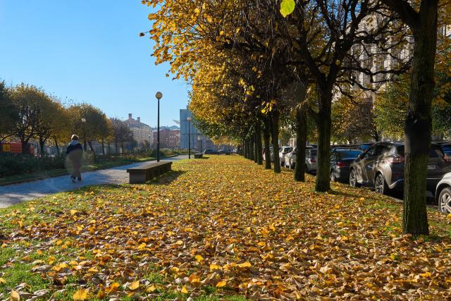 (261014) -- ST. PETERSBURG, Oct. 14, 2026 (Xinhua) -- Photo taken on Oct. 14, 2026 shows autumn scenery in St. Petersburg, Russia. (Photo by Guo Feizhou/Xinhua)