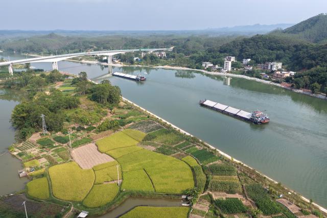 (261015) -- NANNING, Oct. 15, 2026 (Xinhua) -- An aerial drone photo taken on Oct. 14, 2026 shows vessels sailing in the Xinfu section of the Pinglu Canal in Hengzhou City, south China's Guangxi Zhuang Autonomous Region. The Pinglu Canal, officially opened to navigation on Sept. 16, links the Xijiang River shipping route with the Beibu Gulf, acting as a vital link connecting China's inland waterways with the sea. (Xinhua/Zhou Hua)