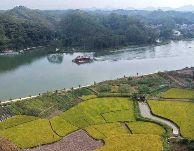 (261015) -- NANNING, Oct. 15, 2026 (Xinhua) -- An aerial drone photo taken on Oct. 14, 2026 shows a tour boat sailing in the Xinfu section of the Pinglu Canal in Hengzhou City, south China's Guangxi Zhuang Autonomous Region. The Pinglu Canal, officially opened to navigation on Sept. 16, links the Xijiang River shipping route with the Beibu Gulf, acting as a vital link connecting China's inland waterways with the sea. (Xinhua/Zhou Hua)