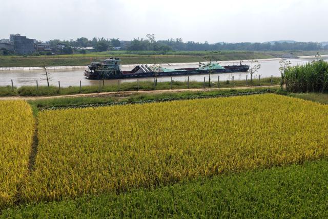 (261015) -- NANNING, Oct. 15, 2026 (Xinhua) -- A drone photo taken on Oct. 14, 2026 shows a vessel sailing in the Xinfu section of the Pinglu Canal in Hengzhou City, south China's Guangxi Zhuang Autonomous Region. The Pinglu Canal, officially opened to navigation on Sept. 16, links the Xijiang River shipping route with the Beibu Gulf, acting as a vital link connecting China's inland waterways with the sea. (Xinhua/Zhou Hua)