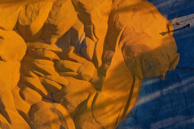 (261015) -- HARBIN, Oct. 15, 2026 (Xinhua) -- An aerial drone photo taken on Oct. 14, 2026 shows a farmer working beside corn piles at a drying yard of a farm under Beidahuang Group in northeast China's Heilongjiang Province. The autumn harvest in Heilongjiang, China's top grain-producing province, has been in full swing. (Xinhua/Zhang Tao)