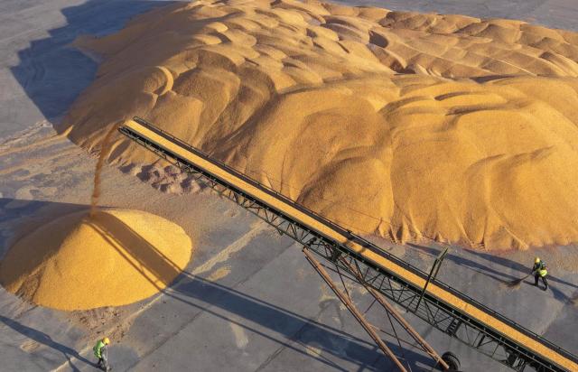 (261015) -- HARBIN, Oct. 15, 2026 (Xinhua) -- An aerial drone photo taken on Oct. 14, 2026 shows staff members working at a drying yard of a farm under Beidahuang Group in northeast China's Heilongjiang Province. The autumn harvest in Heilongjiang, China's top grain-producing province, has been in full swing. (Photo by Wang Yaguang/Xinhua)