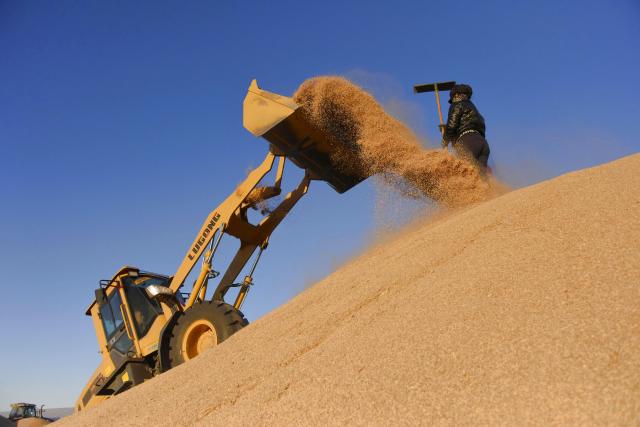 (261015) -- HARBIN, Oct. 15, 2026 (Xinhua) -- People work at a drying yard of a farm under Beidahuang Group in northeast China's Heilongjiang Province, Oct. 14, 2026. The autumn harvest in Heilongjiang, China's top grain-producing province, has been in full swing. (Photo by Li Xing/Xinhua)