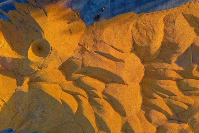 (261015) -- HARBIN, Oct. 15, 2026 (Xinhua) -- An aerial drone photo taken on Oct. 14, 2026 shows a farmer working beside corn piles at a drying yard of a farm under Beidahuang Group in northeast China's Heilongjiang Province. The autumn harvest in Heilongjiang, China's top grain-producing province, has been in full swing. (Xinhua/Zhang Tao)