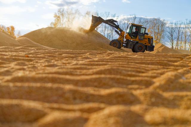 (261015) -- HARBIN, Oct. 15, 2026 (Xinhua) -- A farmer works amid rice piles at a drying yard of a farm under Beidahuang Group in northeast China's Heilongjiang Province, Oct. 14, 2026. The autumn harvest in Heilongjiang, China's top grain-producing province, has been in full swing. (Xinhua/Zhang Tao)