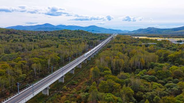 (261015) -- HARBIN, Oct. 15, 2026 (Xinhua) -- An aerial drone photo taken on Sept. 25, 2026 shows a bullet train of Harbin-Yichun high-speed railway running on trial operation through Yichun City, northeast China's Heilongjiang Province.
  The Harbin-Yichun high-speed railway, China's northernmost high-speed railway running through a region of discontinuous permafrost in northeast China's Heilongjiang Province, officially entered service on Sept. 28. With a designed speed of 250 kilometers per hour, the 318-km line slashed travel time between Harbin and Yichun from about seven hours to just two hours.
   The efficient and convenient rail service is expected to facilitate the free flow of talents, passengers, materials and technologies, boosting coordinated regional development in Heilongjiang and forming a key corridor for the region's high-quality development. (Xinhua/Wang Song)