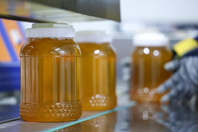 (261015) -- HARBIN, Oct. 15, 2026 (Xinhua) -- Honey products are pictured on a processing line of a bee products company at the Yichun economic development zone in Yichun City, northeast China's Heilongjiang Province, Oct. 14, 2026.
  The Harbin-Yichun high-speed railway, China's northernmost high-speed railway running through a region of discontinuous permafrost in northeast China's Heilongjiang Province, officially entered service on Sept. 28. With a designed speed of 250 kilometers per hour, the 318-km line slashed travel time between Harbin and Yichun from about seven hours to just two hours.
   The efficient and convenient rail service is expected to facilitate the free flow of talents, passengers, materials and technologies, boosting coordinated regional development in Heilongjiang and forming a key corridor for the region's high-quality development. (Xinhua/Wang Song)