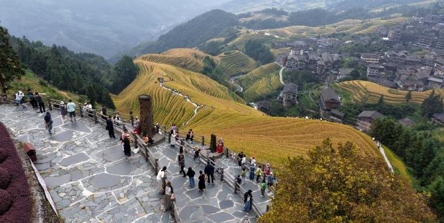 (261015) -- LONGSHENG, Oct. 15, 2026 (Xinhua) -- A drone photo taken on Oct. 15, 2026 shows tourists visiting Longji terraced fields in Longsheng County of Guilin City, south China's Guangxi Zhuang Autonomous Region. (Photo by Pan Zhixiang/Xinhua)
