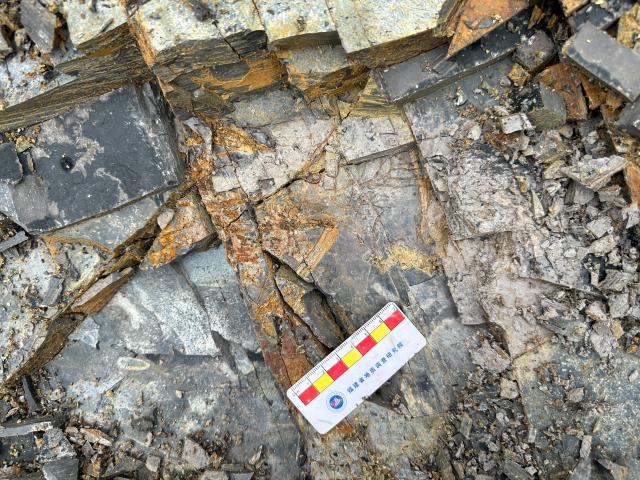 (261015) -- FUZHOU, Oct. 15, 2026 (Xinhua) -- This undated file photo shows the site where the fossilized Yuezhuornis yangyuanensis is discovered, in Zhenghe County, east China's Fujian Province. A newly unearthed Jurassic fossil from east China is prompting scientists to rethink one of the most basic assumptions about bird evolution: that early birds always evolved toward better flight capability.
  The 150-million-year-old bird, named Yuezhuornis yangyuanensis, was about the size of a crow and lived during the Late Jurassic period. The fossil was found in Zhenghe County, east China's Fujian Province. What makes this bird so surprising is not how well it flew, but the fact that it likely did not fly at all.
  The fossil was discovered by researchers from the Institute of Vertebrate Paleontology and Paleoanthropology (IVPP) of the Chinese Academy of Sciences (CAS) and the Fujian Institute of Geological Sciences, and has been described in a study published in the journal Nature. (Xinhua)