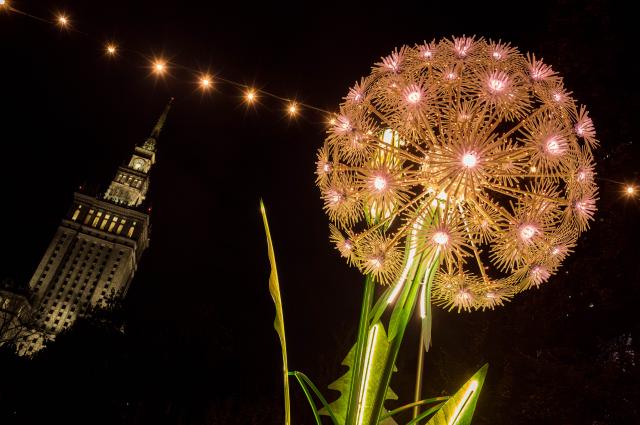(261015) -- WARSAW, Oct. 15, 2026 (Xinhua) -- This photo taken on Oct. 15, 2026 shows an illuminated plant installation in a light garden in Swietokrzyski Park, with the Palace of Culture and Science in the background, in Warsaw, Poland. The year-round light garden opened on Thursday, featuring illuminated plant and butterfly installations and interactive projections that respond to visitors' movements. (Photo by Jaap Arriens/Xinhua)