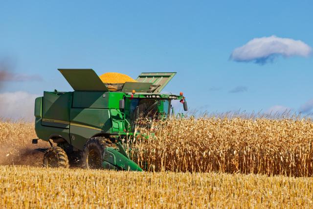(261016) -- HARBIN, Oct. 16, 2026 (Xinhua) -- A farmer operates an agricultural machine to harvest corn at a farm under Beidahuang Group in northeast China's Heilongjiang Province, Oct. 15, 2026. The autumn harvest in Heilongjiang, a northeastern province known as China's "grain barn," has been in full swing. (Xinhua/Zhang Tao)
