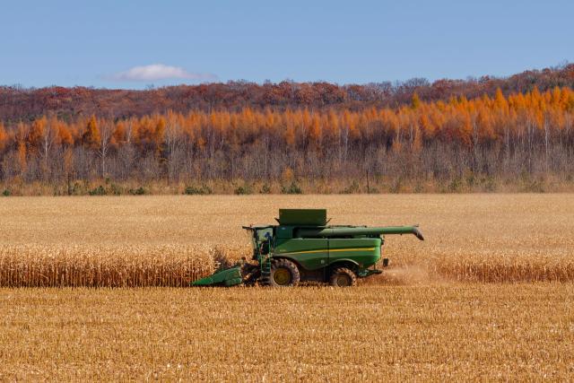 (261016) -- HARBIN, Oct. 16, 2026 (Xinhua) -- A drone photo taken on Oct. 15, 2026 shows a farmer operating an agricultural machine to harvest corn at a farm under Beidahuang Group in northeast China's Heilongjiang Province. The autumn harvest in Heilongjiang, a northeastern province known as China's "grain barn," has been in full swing. (Xinhua/Zhang Tao)