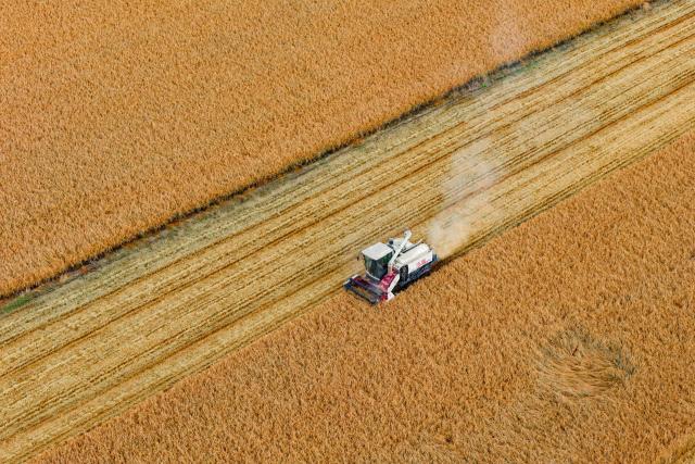 (261016) -- HARBIN, Oct. 16, 2026 (Xinhua) -- An aerial drone photo taken on Oct. 14, 2026 shows a farmer operating an agricultural machine to harvest rice at a farm under Beidahuang Group in northeast China's Heilongjiang Province. The autumn harvest in Heilongjiang, a northeastern province known as China's "grain barn," has been in full swing. (Xinhua/Zhang Tao)
