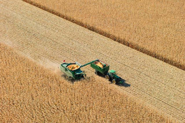 (261016) -- HARBIN, Oct. 16, 2026 (Xinhua) -- An aerial drone photo taken on Oct. 15, 2026 shows farmers operating agricultural machines to harvest corn at a farm under Beidahuang Group in northeast China's Heilongjiang Province. The autumn harvest in Heilongjiang, a northeastern province known as China's "grain barn," has been in full swing. (Xinhua/Zhang Tao)