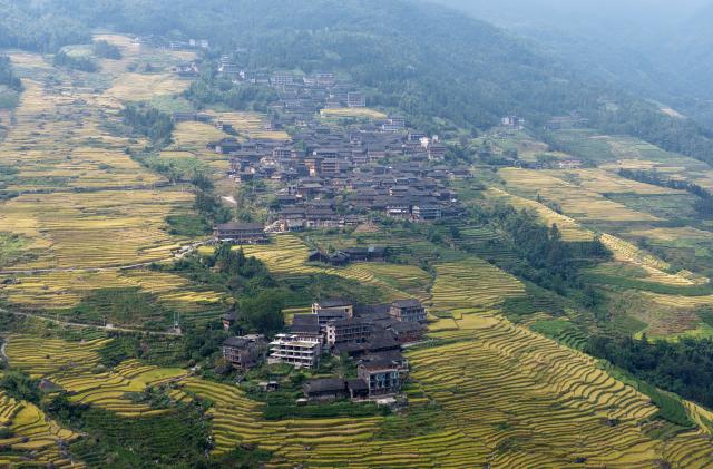 (261016) -- LONGSHENG, Oct. 16, 2026 (Xinhua) -- An aerial drone photo taken on Oct. 15, 2026 shows a view of Longji Village in Longsheng County, south China's Guangxi Zhuang Autonomous Region. Longji Village, home mainly to the Zhuang ethnic group, features traditional wooden houses nestled among terraced fields and retains its distinctive ethnic cultural heritage.
   Hou Yujin, an elderly local woman who lives in one of the century-old stilted buildings of Zhuang ethnic group in the village, has volunteered to offer free guided tours to tourists. Despite never having attended a single day of school, Hou taught herself Mandarin through great efforts to share with visitors the history of her house and the dramatic changes of the village. (Xinhua/Lu Boan)