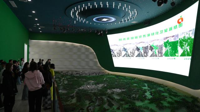 (261016) -- AKSU, Oct. 16, 2026 (Xinhua) -- International visitors observe the illustration of the achievements of Kekeya's afforestation project at the Kekeya Memorial Hall in Aksu City, northwest China's Xinjiang Uygur Autonomous Region, Oct. 14, 2026. Kekeya's afforestation project, launched in 1986, marks its 40th anniversary this year. The project aimed to combat desertification and reduce the impact of shifting sands and dust storms on nearby residents.
   The visit to Kekeya was part of the third installment of the 2026 "Xinjiang in Four Seasons" tour, which brought international social media influencers to cultural sites, agricultural facilities and other destinations across Aksu Prefecture.
   TO GO WITH "Across China: International visitors explore four decades of greening in Xinjiang's Kekeya" (Xinhua)