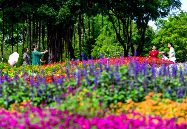 (261016) -- XIAMEN, Oct. 16, 2026 (Xinhua) -- Visitors take photos among blooming flowers at Xiamen Horticulture Expo Garden in Xiamen, southeast China's Fujian Province, Oct. 16, 2026. (Xinhua/Wei Peiquan)
