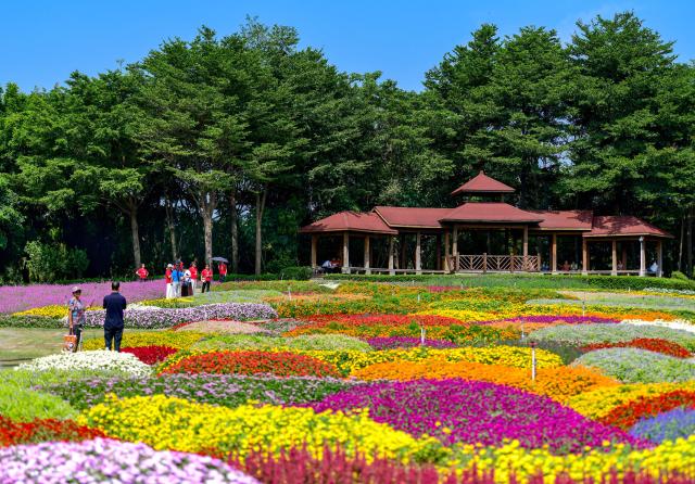 (261016) -- XIAMEN, Oct. 16, 2026 (Xinhua) -- Visitors view blooming flowers at Xiamen Horticulture Expo Garden in Xiamen, southeast China's Fujian Province, Oct. 16, 2026. (Xinhua/Wei Peiquan)