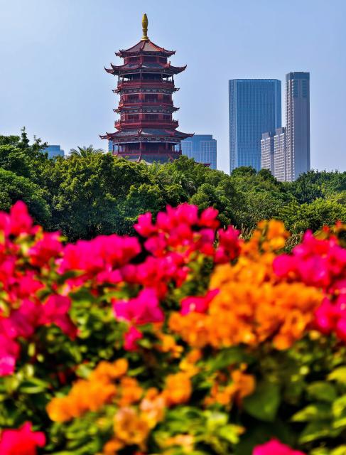 (261016) -- XIAMEN, Oct. 16, 2026 (Xinhua) -- A tower is pictured with flowers in the foreground at Xiamen Horticulture Expo Garden in Xiamen, southeast China's Fujian Province, Oct. 16, 2026. (Xinhua/Wei Peiquan)