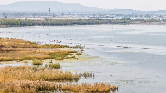 (261016) -- ULANQAB, Oct. 16, 2026 (Xinhua) -- A drone photo taken on Oct. 16, 2026 shows an autumn view of the Huangqihai Lake nature reserve in Ulanqab, north China's Inner Mongolia Autonomous Region.
  Huangqihai Lake in Ulanqab was once on the verge of drying up due to climate and other impacts. After years of comprehensive conservation, its water body has gradually been restored and expanded. (Xinhua/Lian Zhen)
