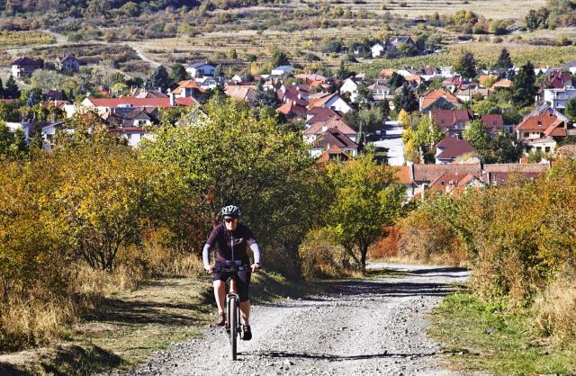 (261017) -- BRATISLAVA, Oct. 17, 2026 (Xinhua) -- This photo taken on Oct. 16, 2026 shows a woman cycling in Modra, Slovakia. Modra is a historic town in western Slovakia, located at the foothills of the Little Carpathians, about 30 kilometers from Bratislava. The town is renowned for its traditional wine culture and distinctive folk pottery. (Xinhua/Liu Haodong)