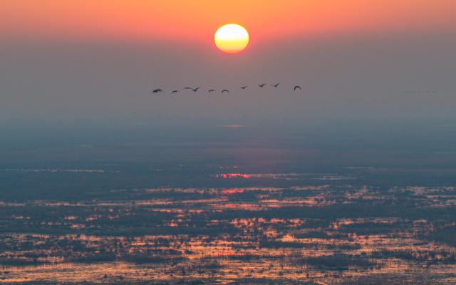 (261017) -- FUJIN, Oct. 17, 2026 (Xinhua) -- A drone photo taken on Oct. 16, 2026 shows birds flying at sunrise at the Sanhuanpao National Nature Reserve in Fujin City, northeast China's Heilongjiang Province. Migrant birds in the nature reserve rest and gather before their migration to the south. (Photo by Chen Zhiguo/Xinhua)